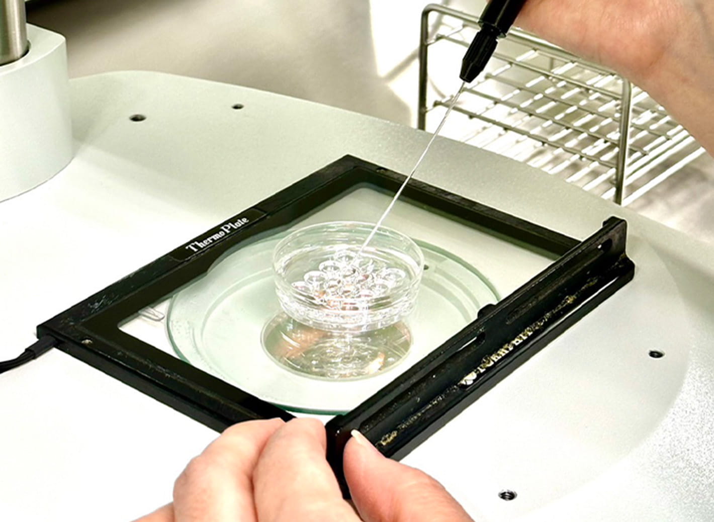 幅広く高度な不妊治療