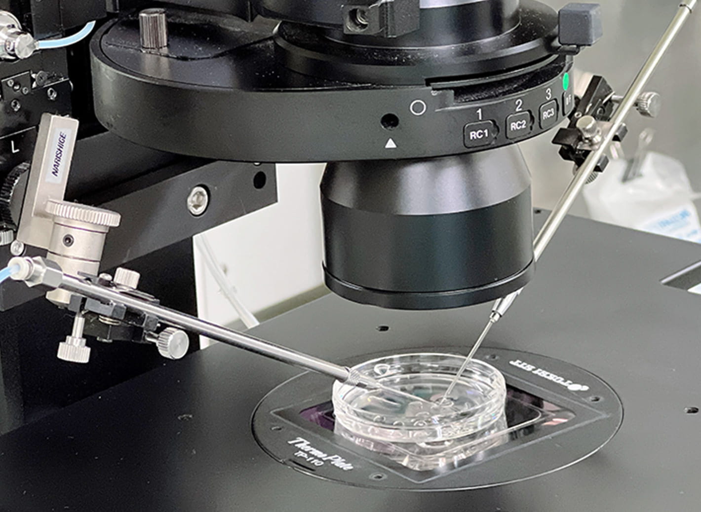 体外受精について